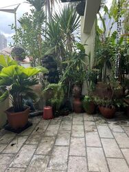 Jalan Tanjong (D16), Terrace #466834841